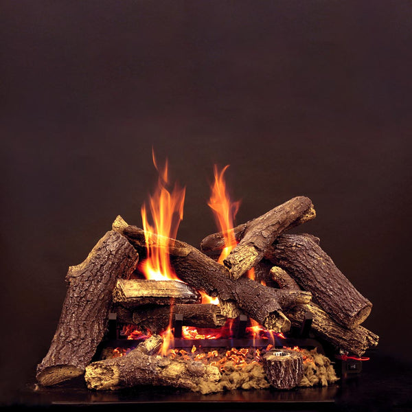 Pioneer_EliteRadiantBurner_gra