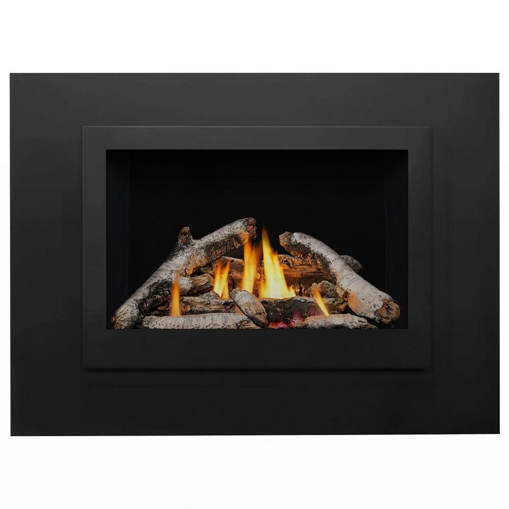 Napoleon Rosedale Direct Vent Gas Insert Fireplace – Fireplaces Direct