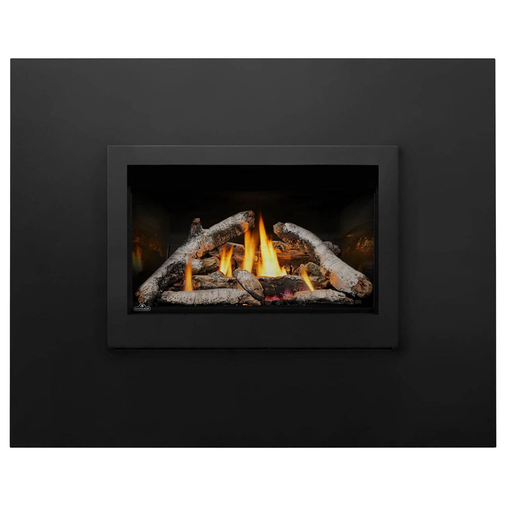 Napoleon Rosedale Direct Vent Gas Insert Fireplace – Fireplaces Direct