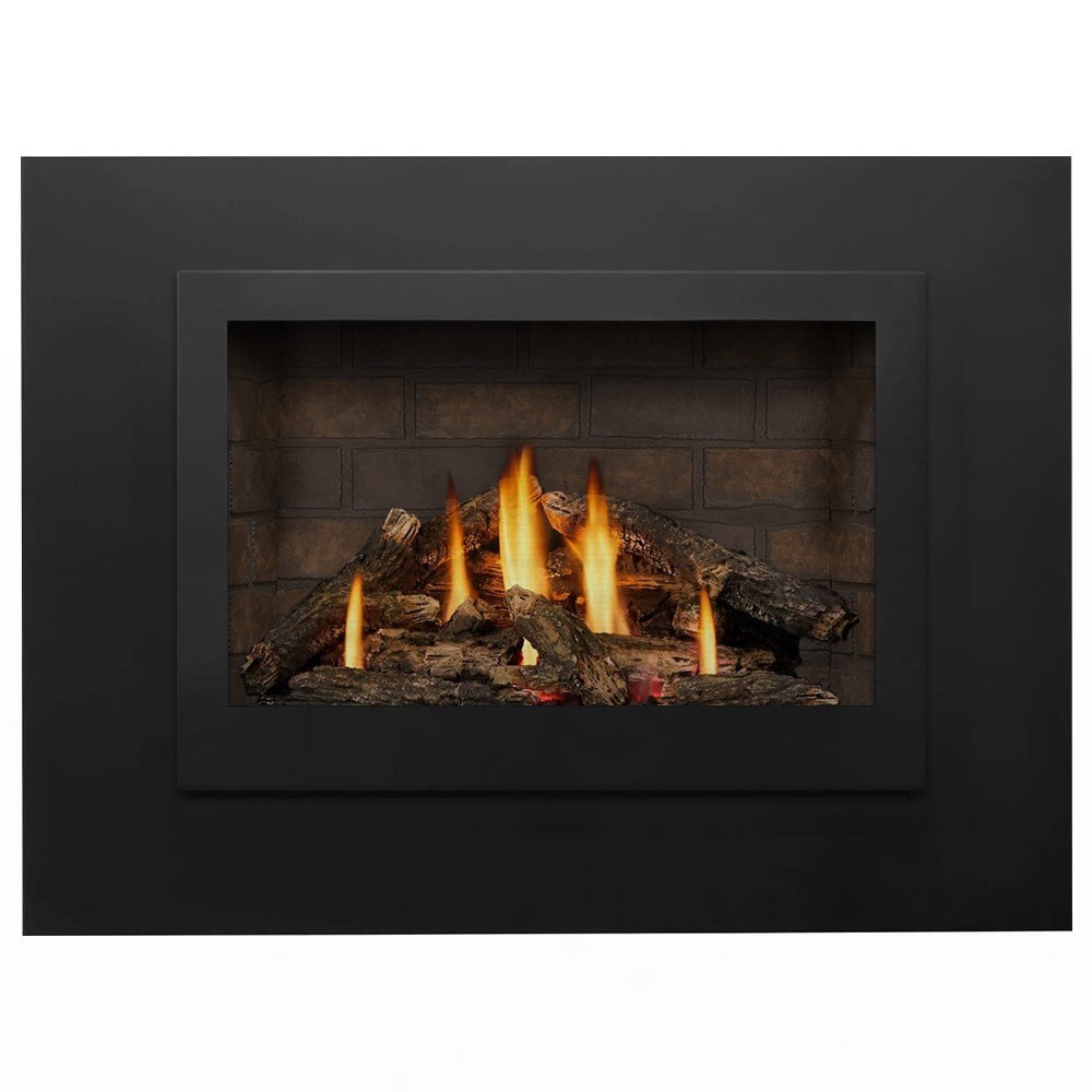 Napoleon Rosedale Direct Vent Gas Insert Fireplace – Fireplaces Direct