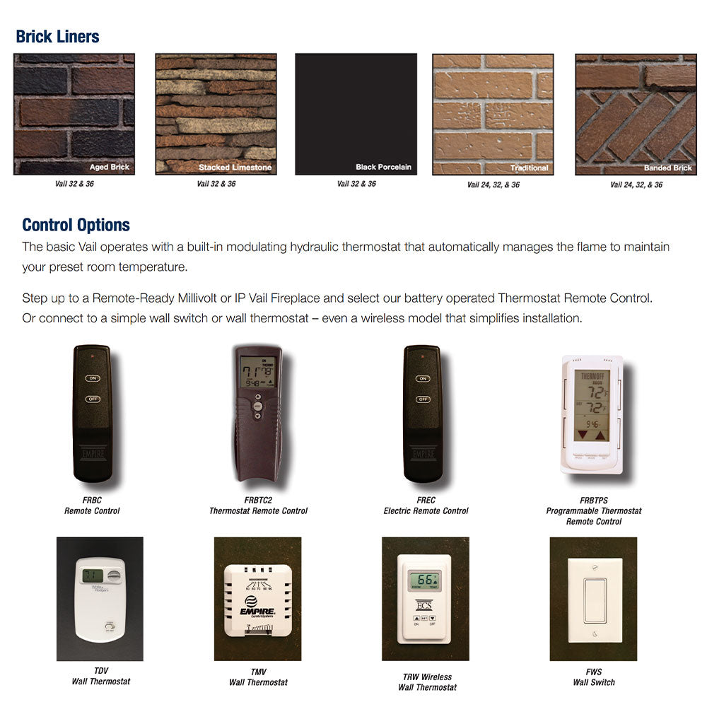 Control options for fireplace, including remote and thermostat switch panels