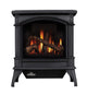 Black cast iron gas stove with arched glass firebox and burning logs