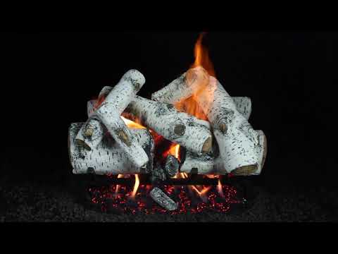 Hargrove Aspen Timbers See-Through Shallow Vented Gas Log Set with System 4 Burner, Propane Specialized (HGATSSS-S4B)