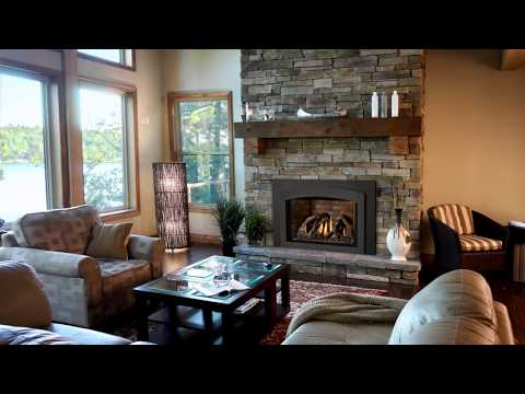 イネビタブル Napoleon Inspiration ZC Direct Vent Gas Fireplace Insert | GDIZC