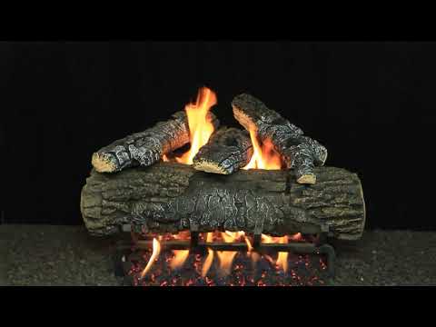 Hargrove Blazing Pecan Vented Gas Log Set with ANSI Certified System 4 Burner Kit, Propane Specialized (HGBPSAA-S4B-ANSI)