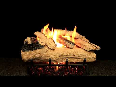 Hargrove Western Pine See-Through Shallow Vented Gas Log Set with System 4 Burner, Propane Specialized (HGWPSSS-S4B)